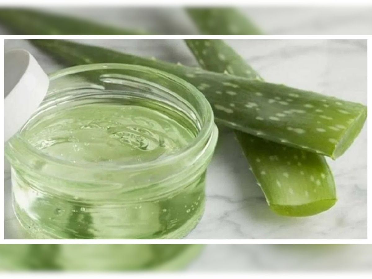 Aloe Vera Juice: ठंड के मौसम में जरूर पिएं एलोवेरा जूस, सेहत को मिलेंगे ये लाभ