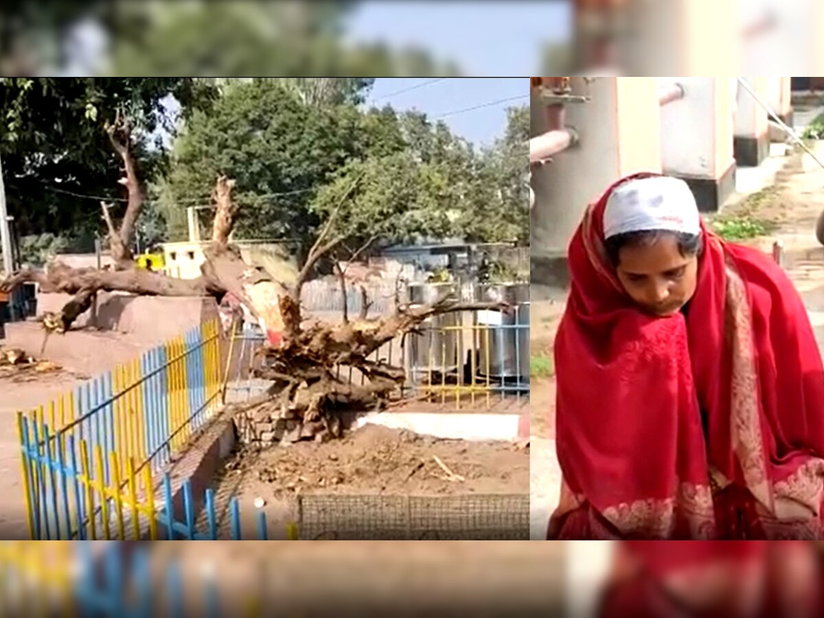 Auraiya news: फफूंद स्टेशन पर गिरा पेड़, जद में आने से एक की मौत, महिला समेत 2 घायल