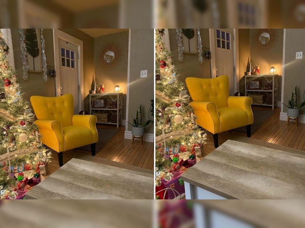 Optical Illusion: कमरे में सोफे के पास छिपा हुआ है एक जानवर, 5 सेकेंड में ढूंढकर दिखाएं