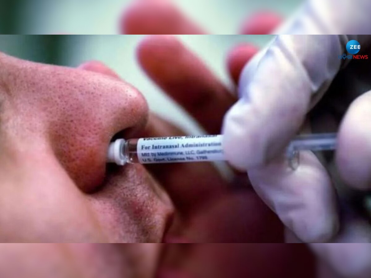 Covid Nasal Vaccine: କିଏ ନେଇପାରିବେ ନାଜାଲ ଭ୍ୟାକସିନ, ଜାଣନ୍ତୁ ସରକାରଙ୍କ ନିୟମ