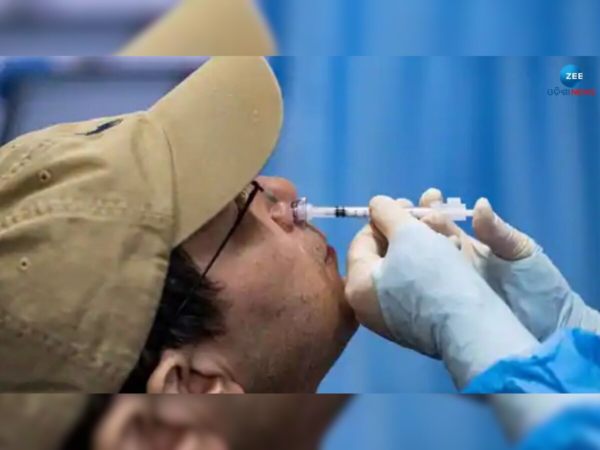 Nasal Vaccine Price: ଭାରତ ବାୟୋଟେକ ସ୍ଥିର କଲା ନାଜାଲ ଭ୍ୟାକସିନର ଦାମ, ଦେବାକୁ ପଡ଼ିବ ୫ ପ୍ରତିଶତ ଜିଏସଟି