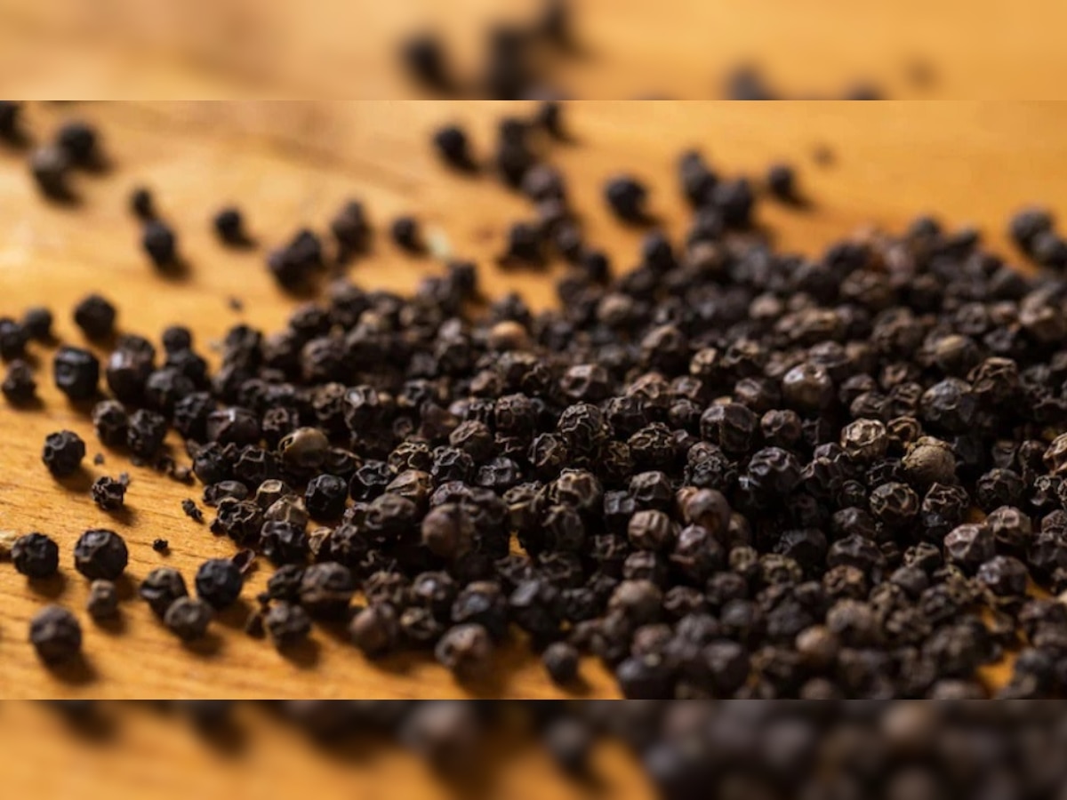 Black Pepper Benefits: ସ୍ବାସ୍ଥ୍ୟ ପାଇଁ ବରଦାନ ଗୋଲମରିଚ, ପ୍ରତିଦିନ ସେବନ କଲେ ଆପଣଙ୍କୁ ଛୁଇଁବନି ଏହି ସବୁ ଘାତକ ରୋଗ
