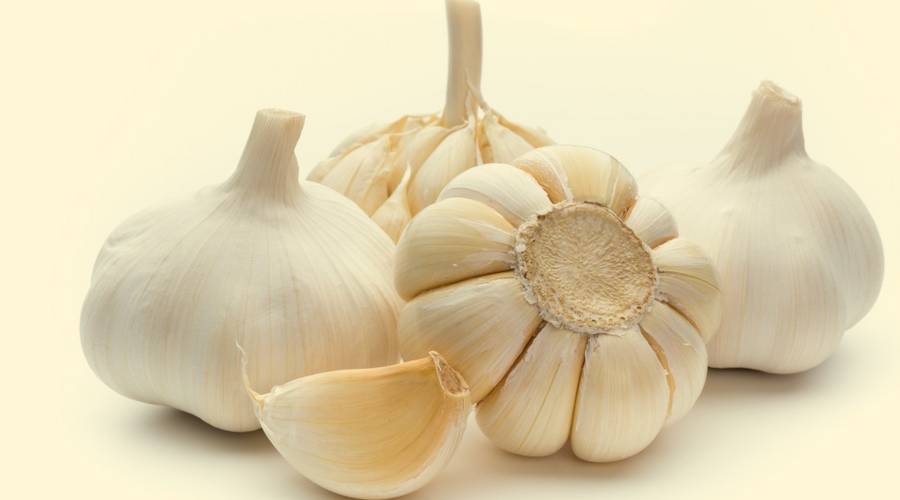 Garlic Benefits: सर्दियों में कई बीमारियों का इलाज है एक लहसुन, रोजाना इसे करें सेवन