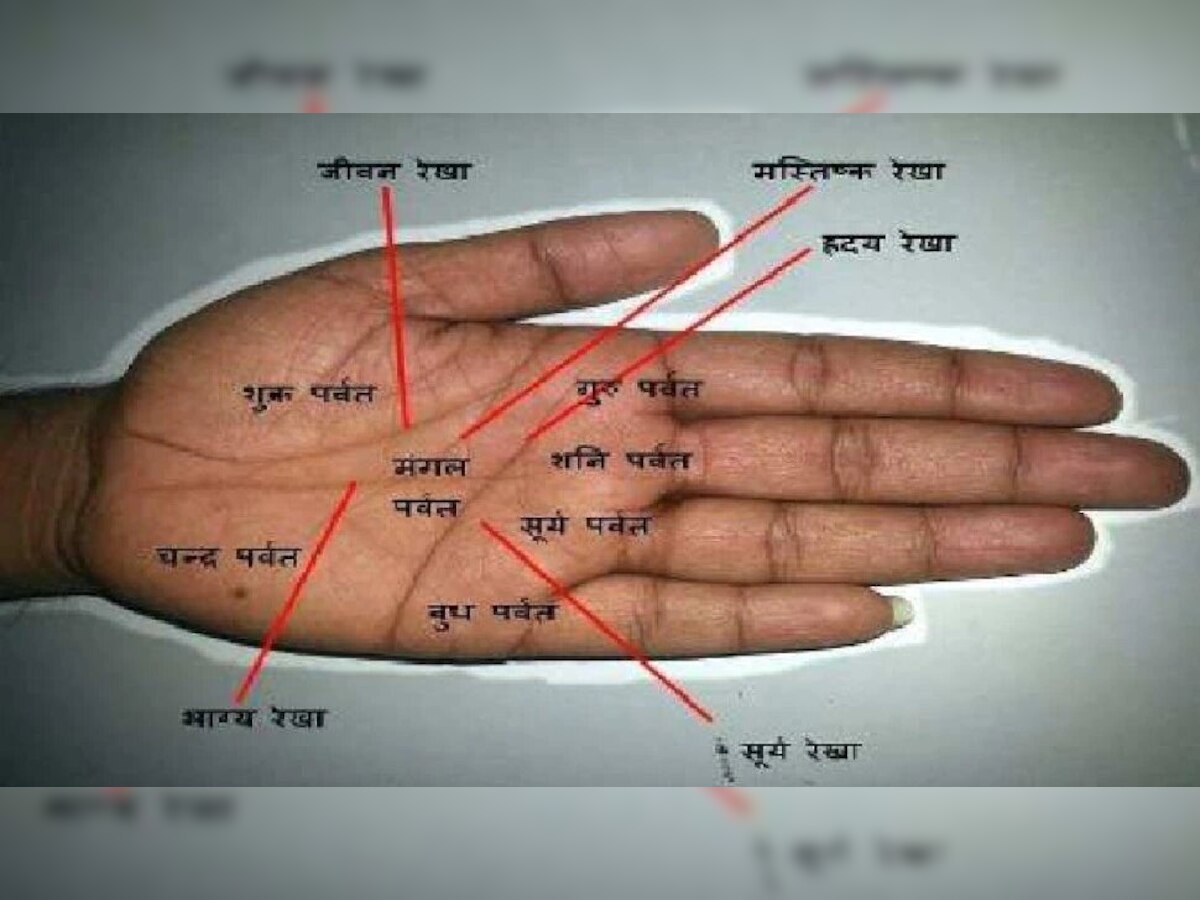 Palmistry Career: हथेली देखकर जानिए किस क्षेत्र में बनेगा आपका करियर, ऐसे मिलेगी सफलता 