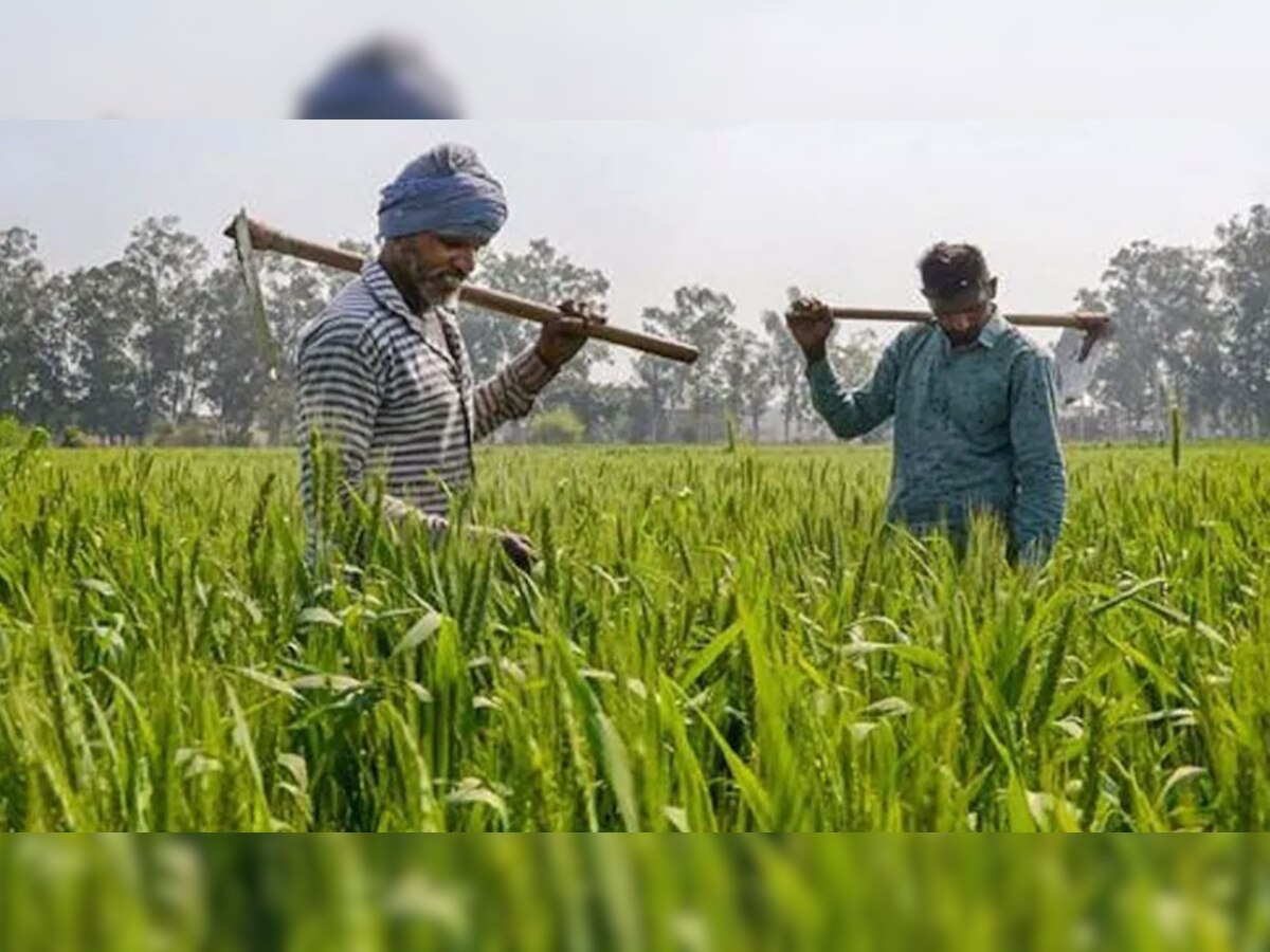 PM Kisan की क‍िश्‍त से पहले खाते में आएगी एक और रकम, सरकार ने क‍िसानों से कही यह बात