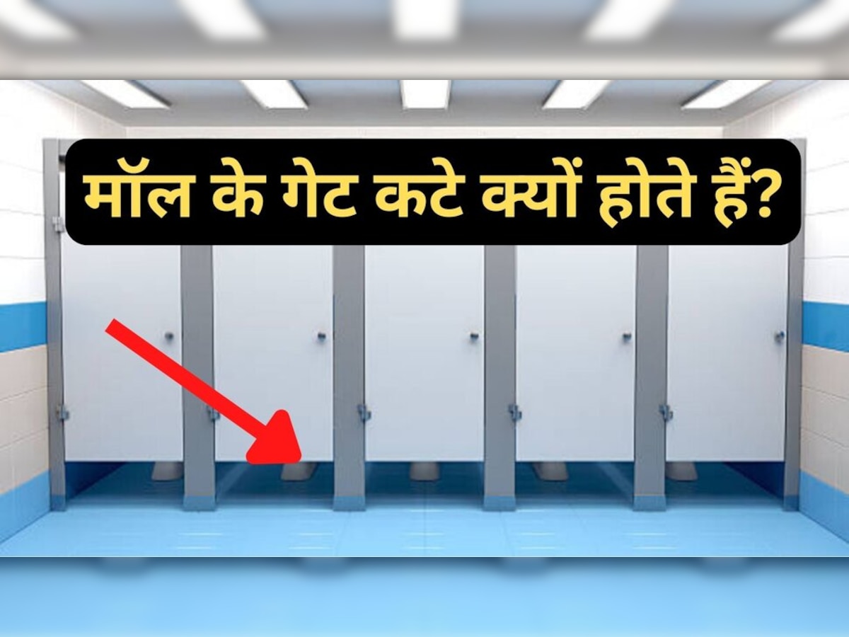  Toilet Gate Fact: मॉल के टॉयलेट का दरवाजा नीचे से ओपन क्यों रहता है? वजह जान कर हैरान हो जाएंगे आप