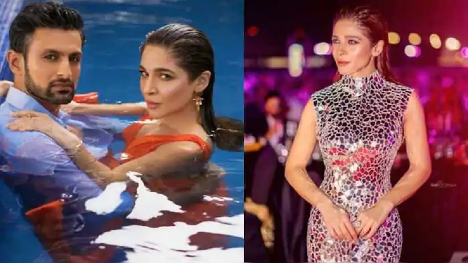 Ayesha Omar: ଶୋଏବଙ୍କ ସହ ସମ୍ପର୍କ ନେଇ ମୁହଁ ଖୋଲିଲେ ପାକିସ୍ତାନୀ ଅଭିନେତ୍ରୀ ଆୟେଶା, କହିଲେ ମୁଁ...