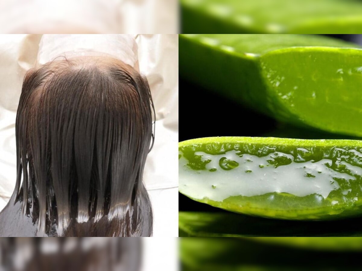 Hina Khan Homemade Hair Mask Olive Oil Honey Curd Aloe Vera Gel Egg