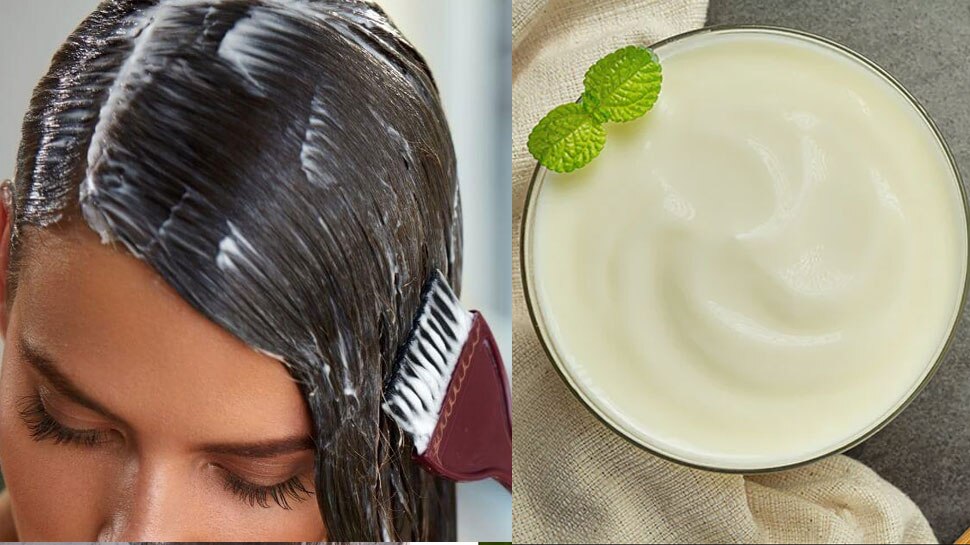 Dahi hair packs | 5 DIY yoghurt hair masks for silky hair