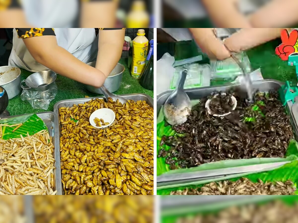 कीड़े-मकौड़े फ्राई करके लड़की ने बनाया टेस्टी पकौड़ी, चाट मसाले डालकर यूं खाने को परोसा; देखें Video