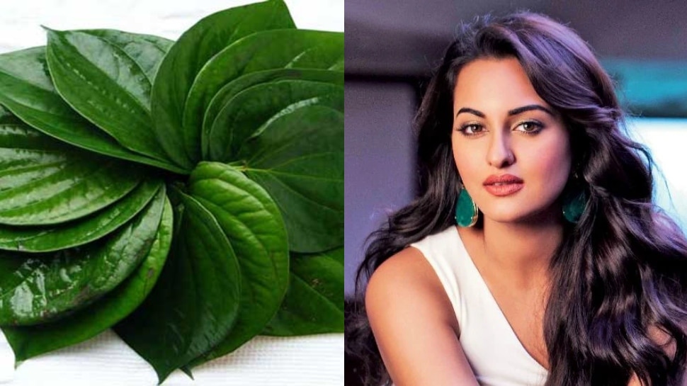 Apply hair mask made of betel leaves in hair, hair will long