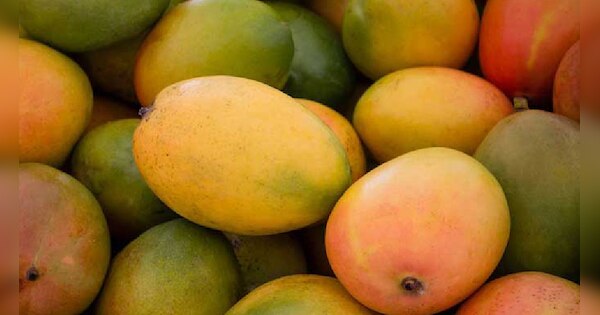 Fruit Ripening Technique In Hindi falo ko jaldi pakane ke liye kon sa ...