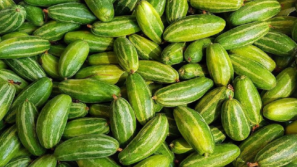 parwal-benefits-pointed-gourd-ke-fayde-eat-parwal-vegitable-daily-for