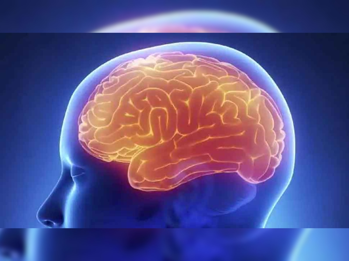 Brain-Eating Amoeba: दिमाग खाने वाले अमीबा ने ली जान, लक्षण दिखने के 5 दिन के अंदर हो सकती है मौत, यहां जानें सबकुछ