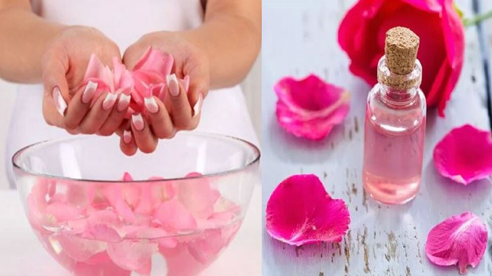 Rose Water: गुलाब जल पीने से शरीर के इन अंगों को होगा फायदा, सेहत हो जाएगी दुरुस्त