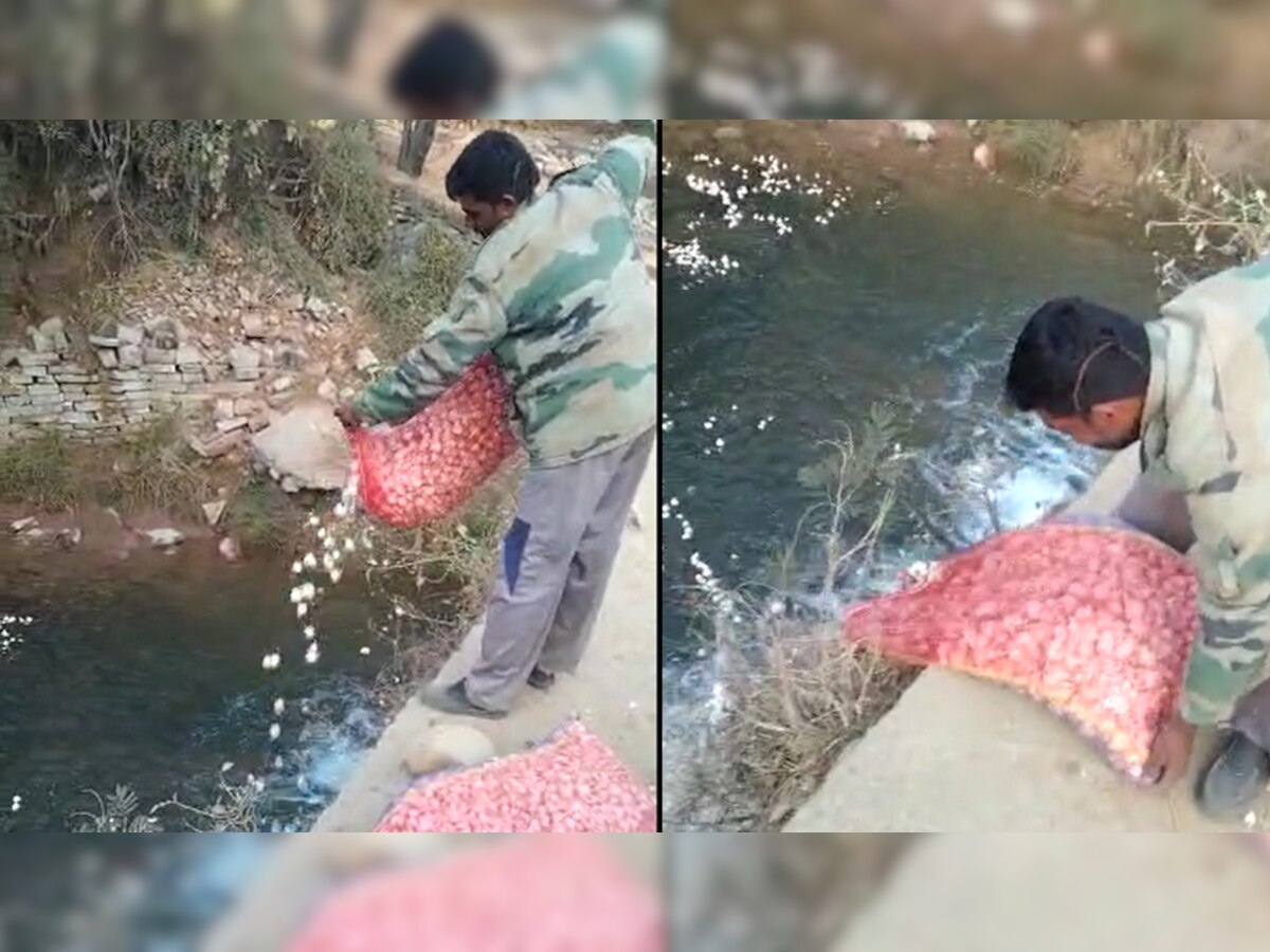 नहीं मिल रही थी सही कीमत, गुस्साए किसान ने नाले में बहा दिया कई बोरी लहसुन; Video हुआ वायरल