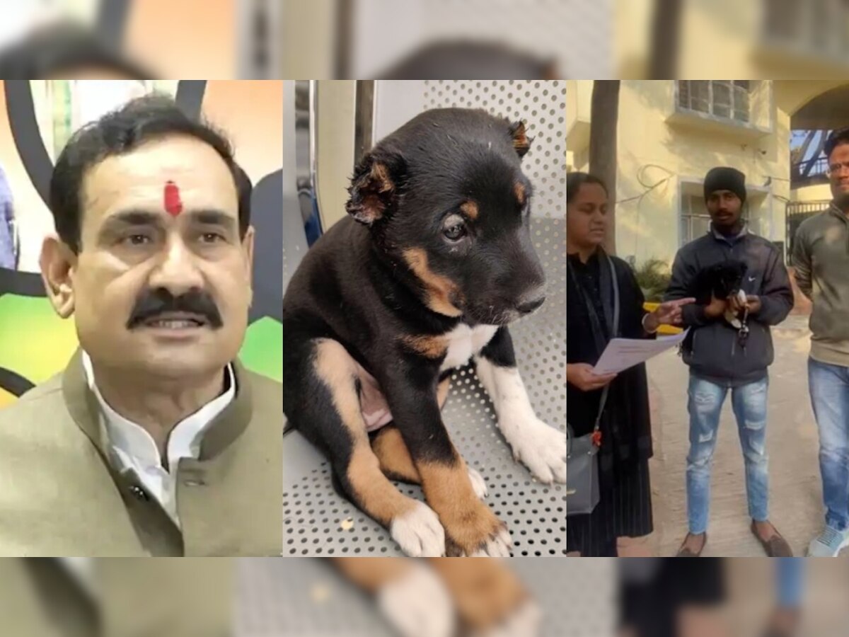 Indore News: इंदौरी शख्स ने काटे कुत्ते के कान, गृहमंत्री नरोत्तम मिश्रा ने सुना दी ऐसी सजा; अब जिंदगी भर रहेगा याद