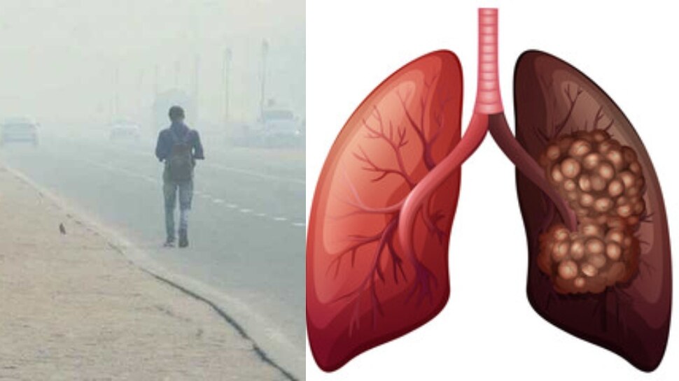 Health Care Tips To Protect Lungs From Smog In Winter Season | Winter ...