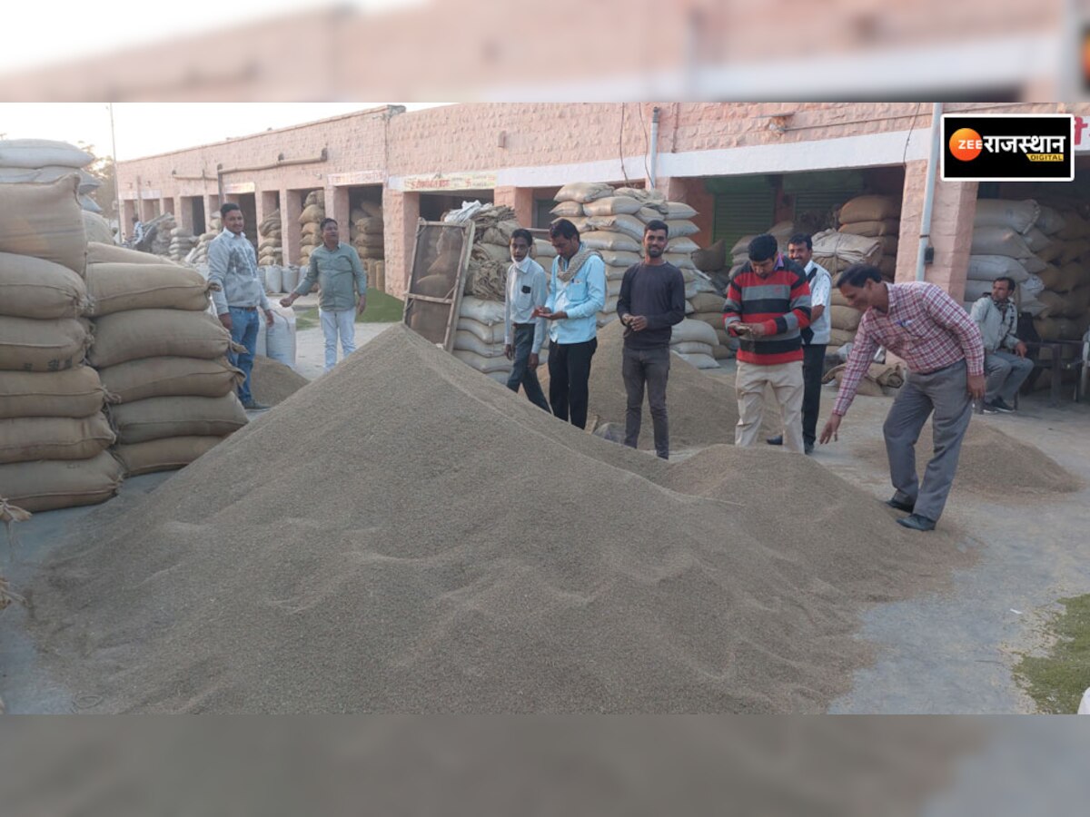 Nagaur Merta Mandi Bhav: नया साल आते ही जीरे के भाव ने तोड़े सारे रिकॉर्ड, जानें ताजा रेट