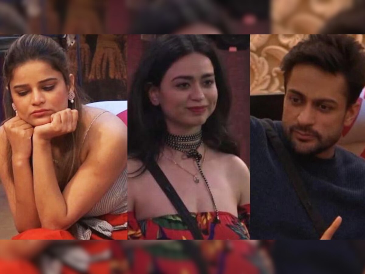 Bigg Boss 16: शालीन भनोट ने उठाए सौंदर्या और अर्चना के रिश्ते पर सवाल, लेस्बियन कहकर मचा दिया बवाल