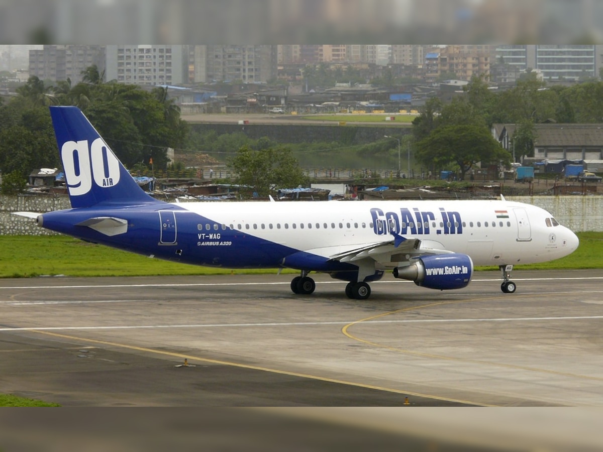 Bird Collided with flight at Patna Airport: पटना एटरपोर्ट पर लैंडिंग के वक्त विमान से टकराया पक्षी, टला हादसा