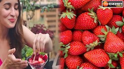 Benefits Strawberries: मनमोहक खुशबू व स्वाद से भरी स्ट्रॉबेरी में छिपे हैं कई राज