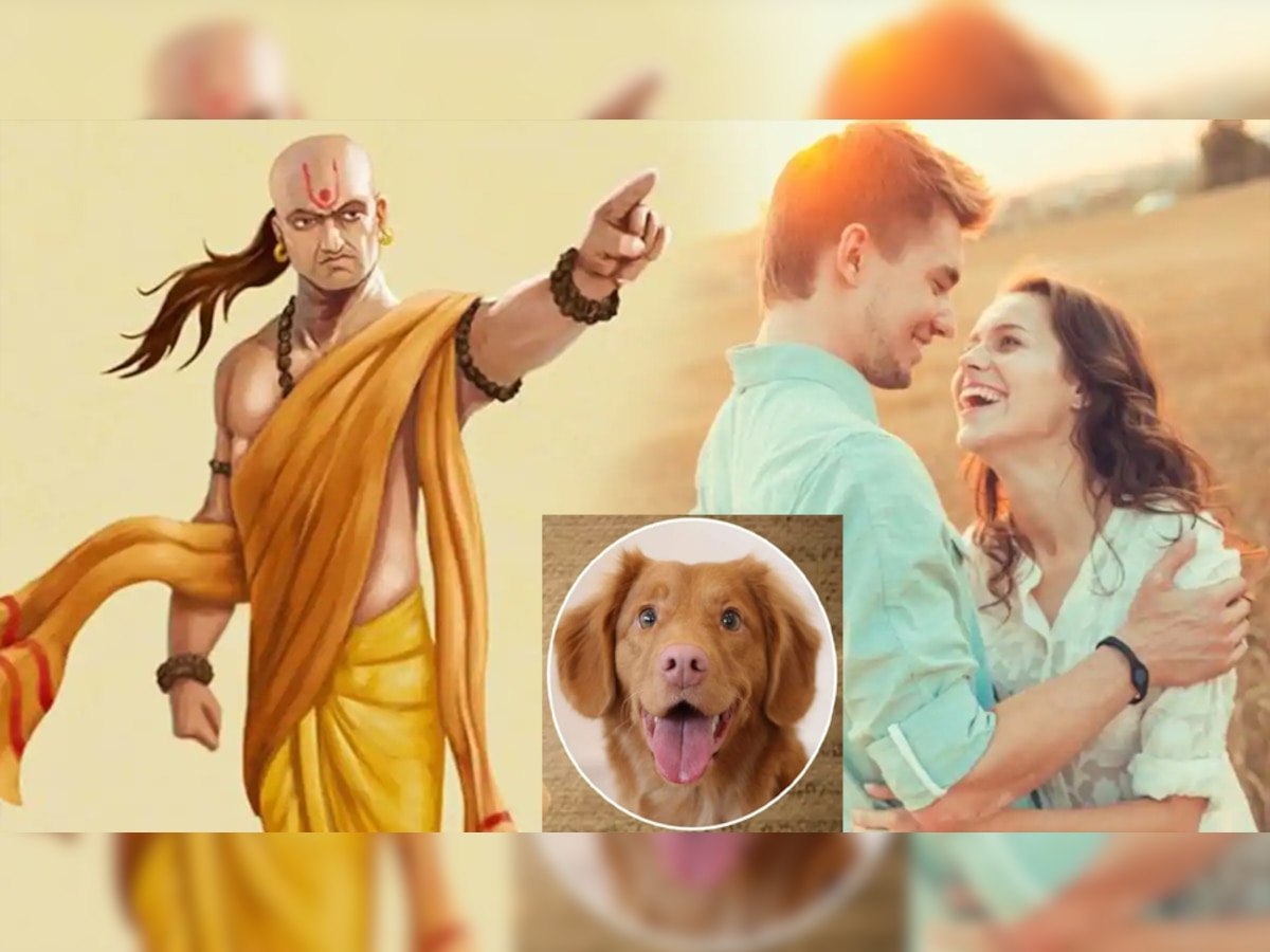 Chanakya Niti: जिस मर्द में कुत्ते के ये 4 गुण होते हैं, उसकी पत्नी हमेशा खुश और संतुष्ट रहती है