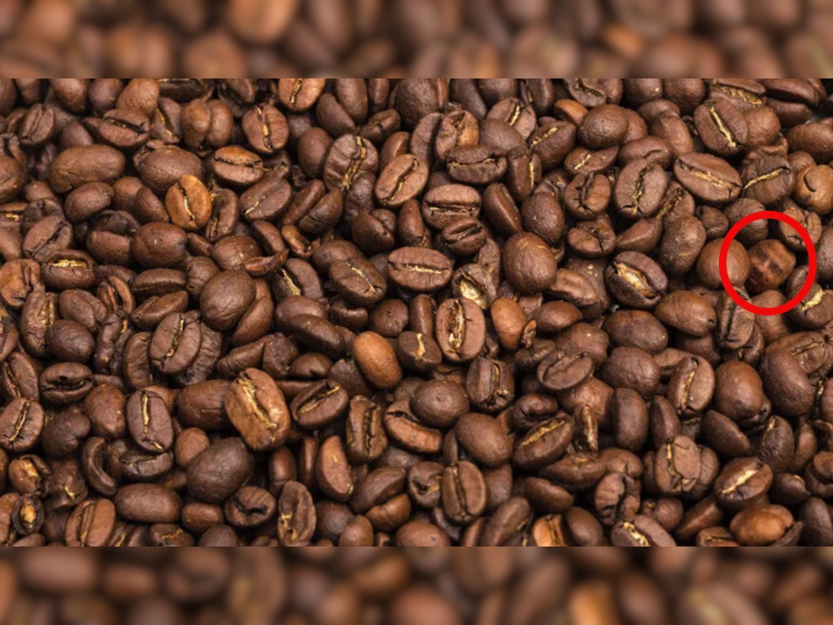 optical illusion riddle only a champion can find the man in just 6