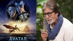 अमिताभ बच्चन को पसंद आई 'अवतार 2', लोगों से बोले- 'छुपे हुए संदेश को समझो'