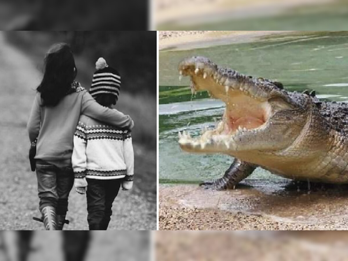 Crocodile: बहन का पैर मगरमच्छ ने जबड़े में भर लिया, भाई ने लगा दी जान की बाजी और फिर...