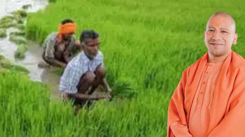 Yogi govt forgiven loan of 33408 farmers of up and prisoners in jail ...