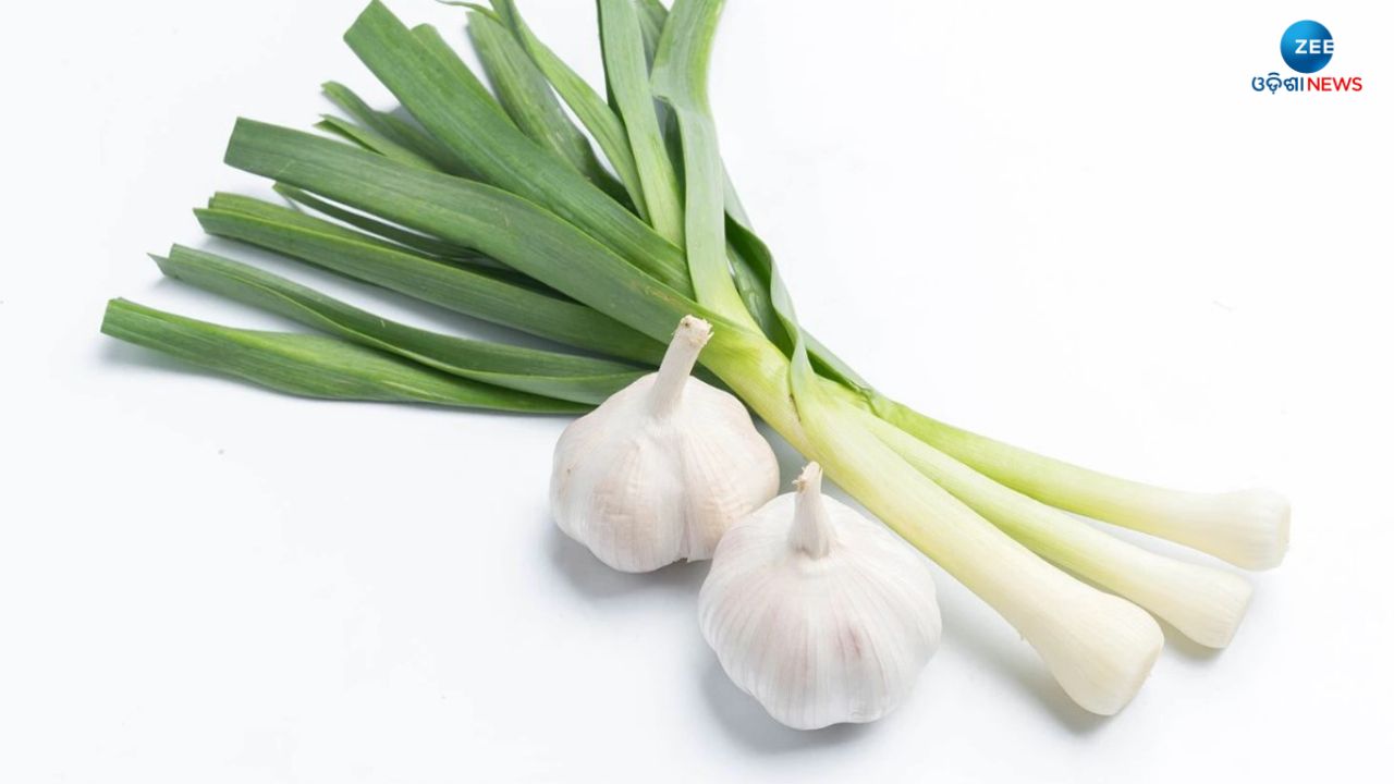 Garlic Leaves Benefits For Good Health Garlic Benefits High Blood Pressure and cancer । Garlic