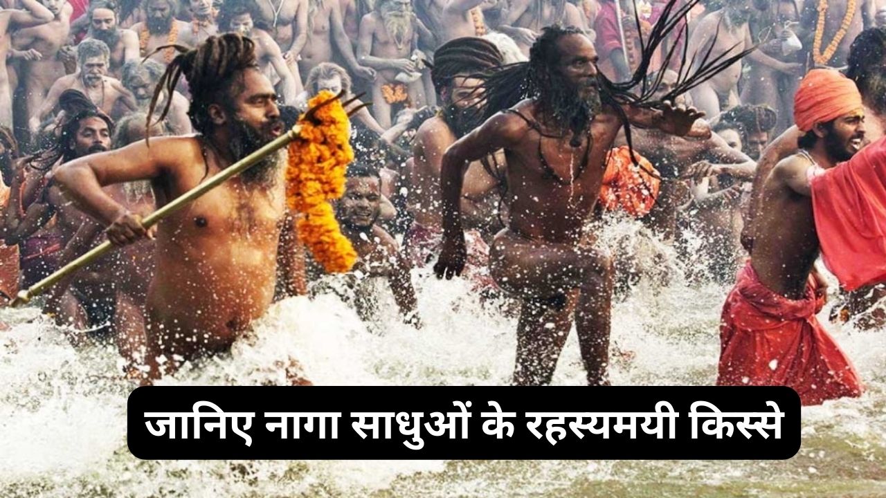 Naga Sadhu History: कड़कड़ाती ठंड में भी नहीं पहनते कपड़े, जानिए नागा साधुओं के रहस्यमयी किस्से