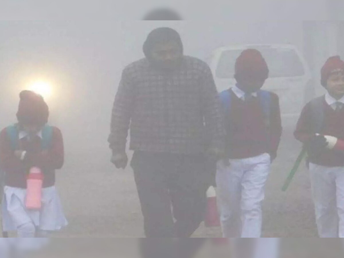 School Closed in Jharkhand: ठंड का असर, झारखंड में कक्षा पांच तक के सभी स्कूल 14 जनवरी तक बंद