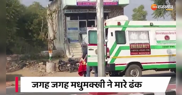 Dausa News: A person was stung by a bee while walking in Dausa | Dausa News: दौसा में राह चलते व्यक्ति को लगी मधुमक्खी, कई जगह मारा डंक | Zee News Hindi