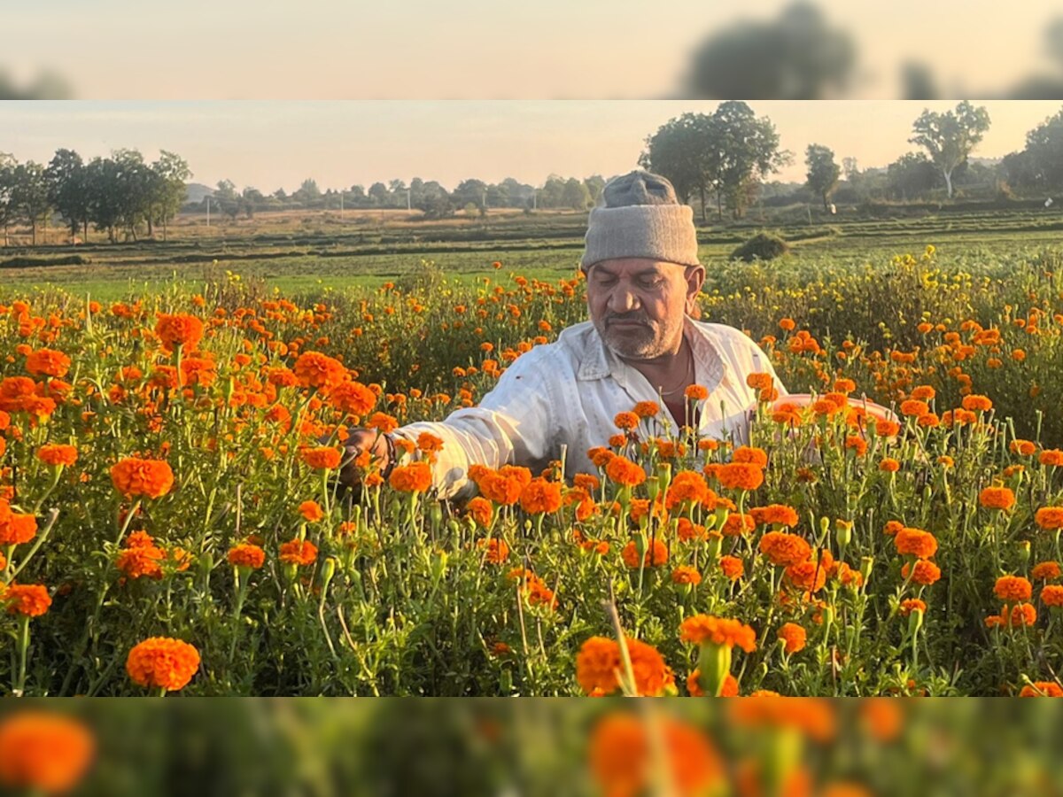 ये किसान हर महीने छाप रहा इतने पैसे, जानकर अपनी जॉब छोड़ शुरू कर देंगे किसानी