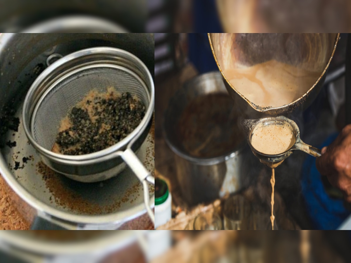 Use of Used Tea Leaves: चाय बनाने के बाद इस्तेमाल की हुई चायपत्ती को फेंके नहीं, होती है बड़े काम की, ऐसे करें इस्तेमाल