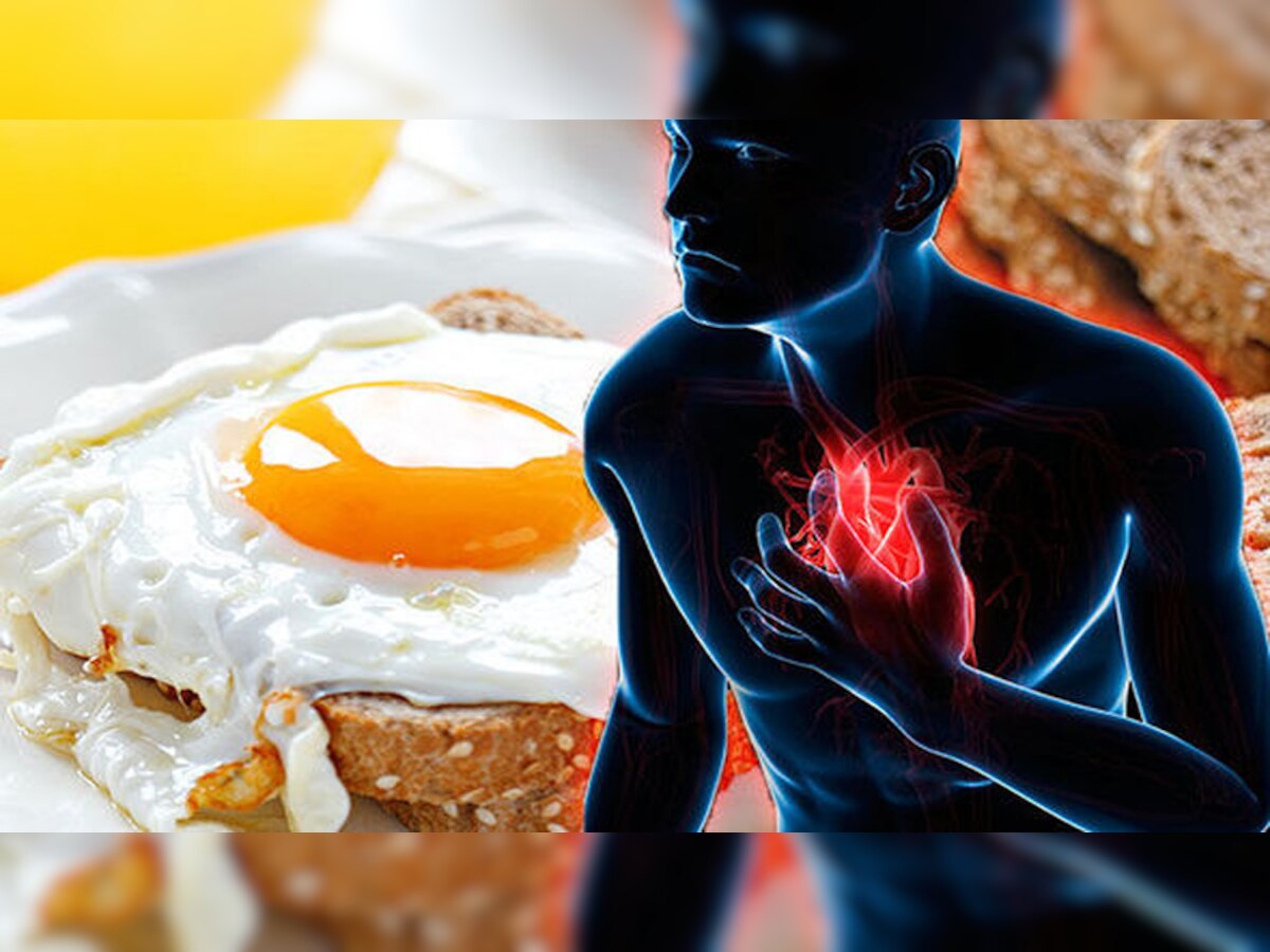 Eggs and Heart Disease: रोज अंडे खाने से आ सकता है हार्ट अटैक? चौंकाने वाली स्टडी आई सामने