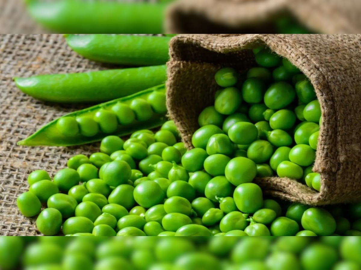 Green Peas: मटर को ऐसा वैसा ना समझें, फायदे इतने कि आपको पता भी नहीं होंगे 