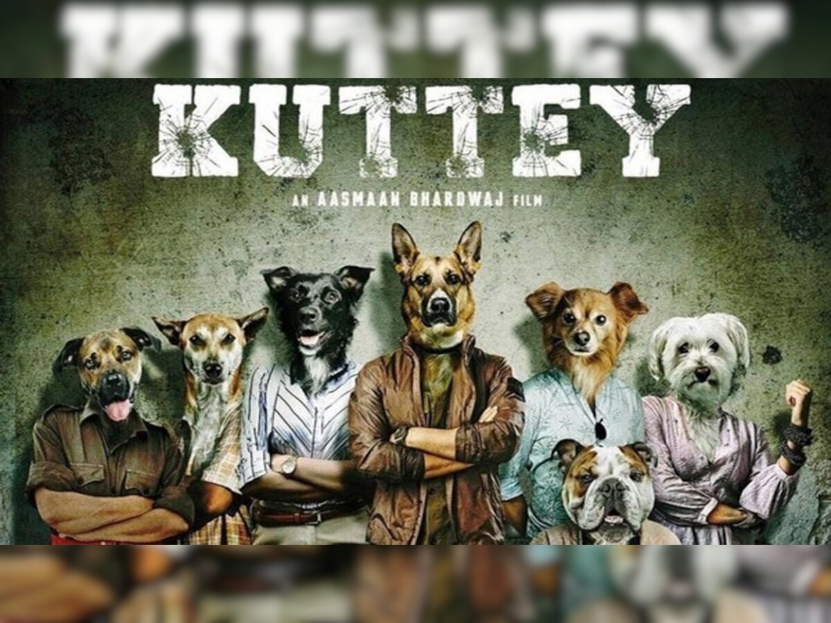 Kuttey Review: मूवी में लॉजिक ढूंढने वाले हो सकते हैं निराश, जानें कुत्ते की कहानी का आधार!