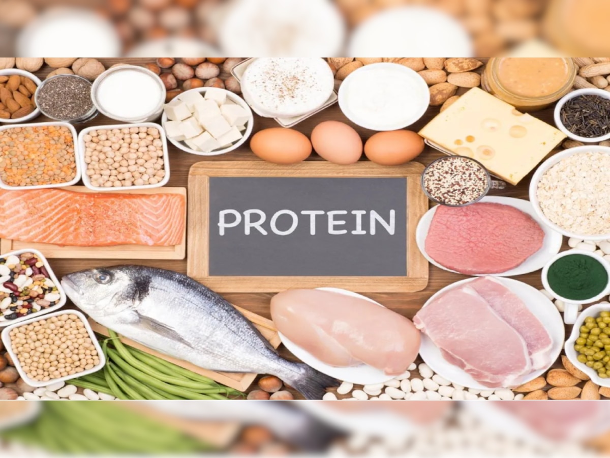 Protein Rich Food: इन फूड्स को डाइट में करें शामिल; प्रोटीन की कमी होगी दूर 
