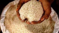 Basmati Rice: ବାସୁମତି ଚାଉଳର ସୁଗନ୍ଧ ପାଇଁ ସରକାର ପ୍ରସ୍ତୁତ କଲେ ନିୟମ