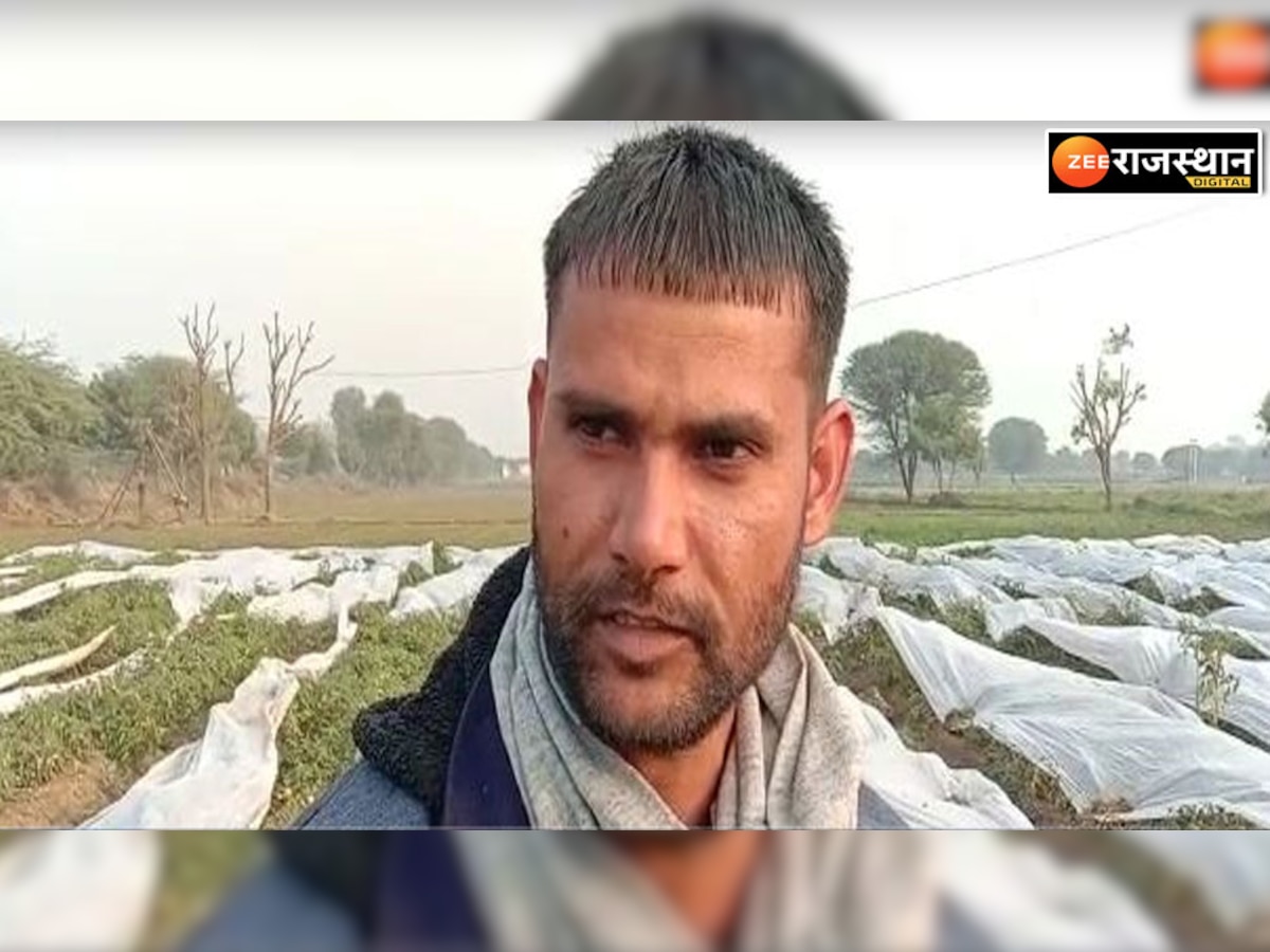 अलवरः सर्दी का सितम जारी,  फसल बर्बादी पर किसानों के माथे पर छाई चिंता की लकीरें