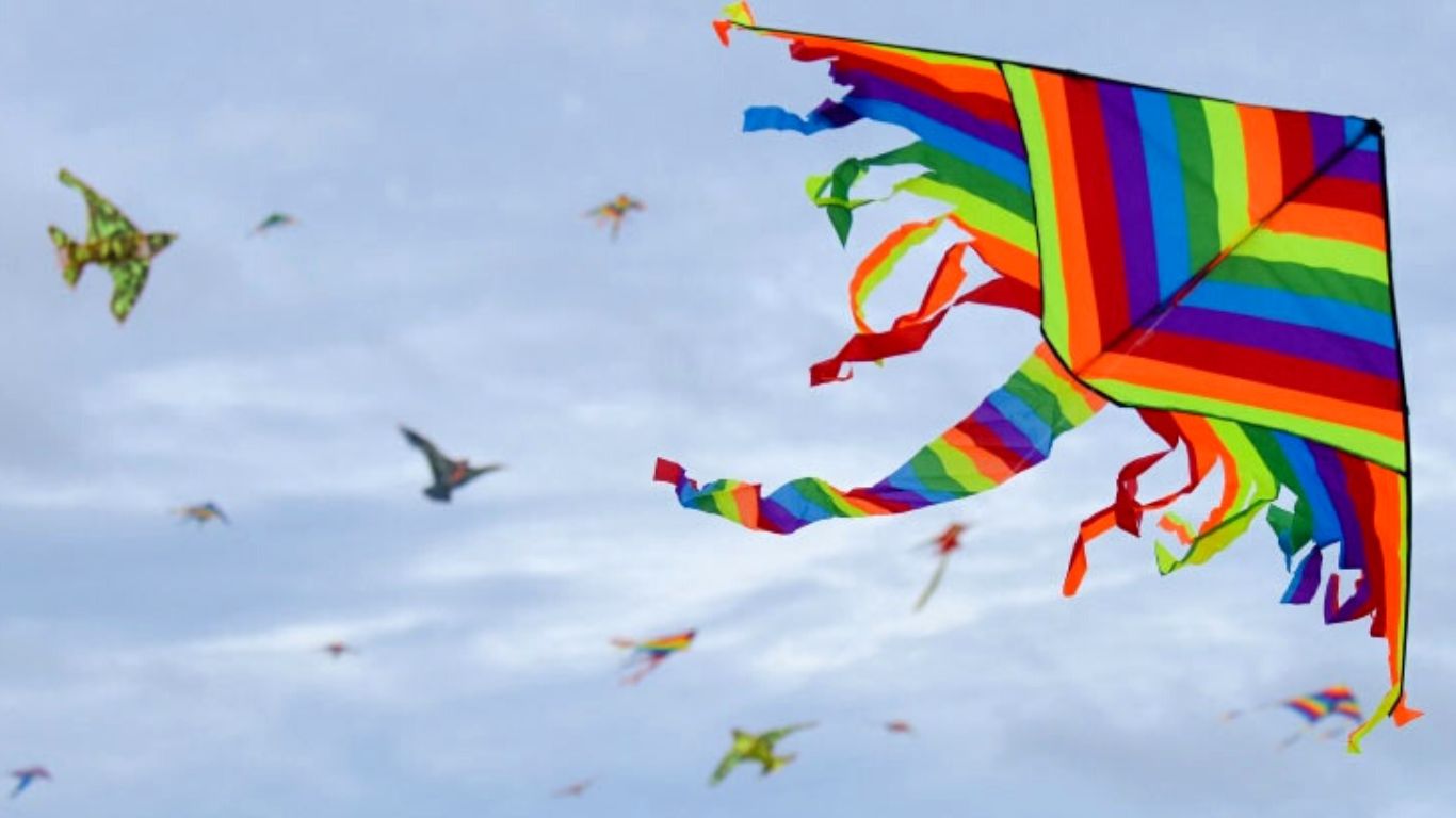 Makar sankranti 2023 kite flying festival aircraft act 1934 patang bazi
