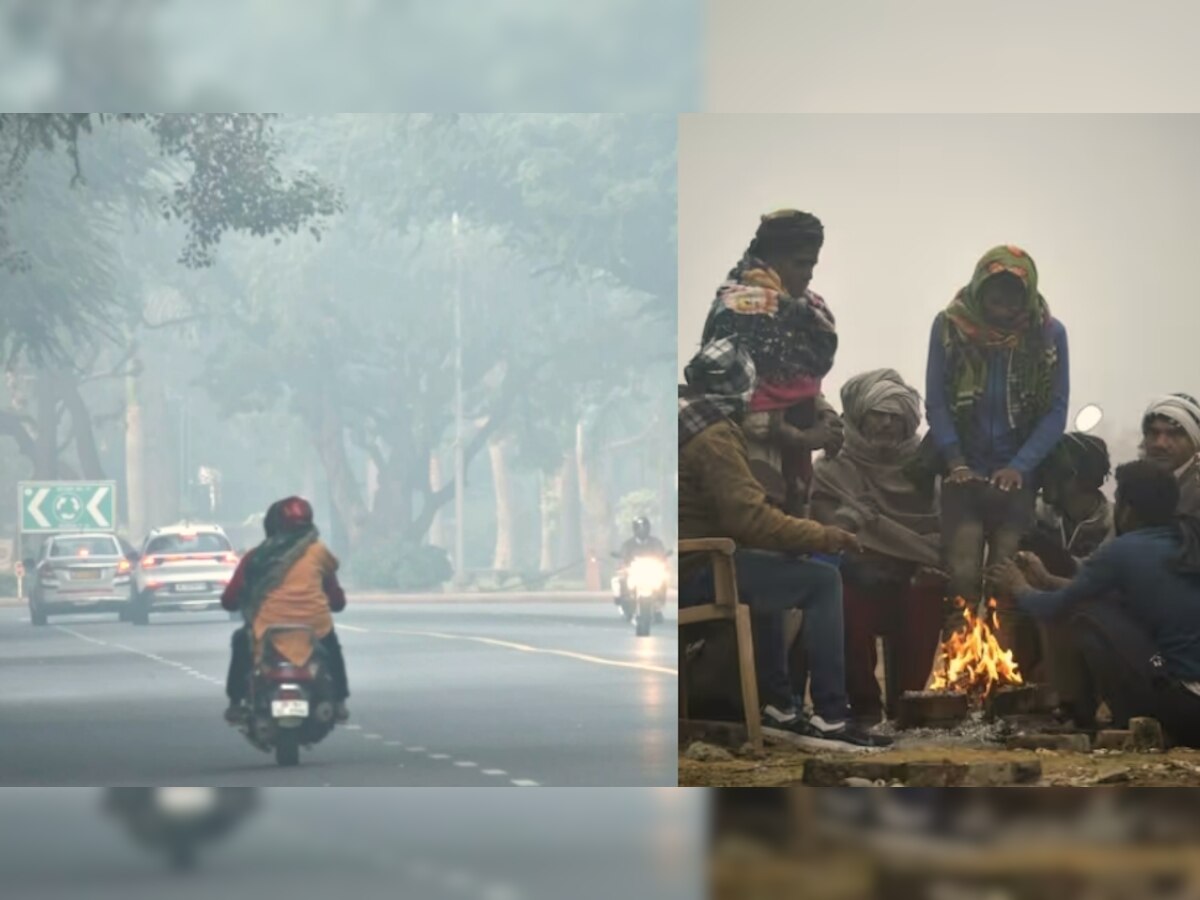 MP Weather Update: सर्दी से मिली राहत, बढ़ा भोपाल-रायपुर का तापमान; जानें मौसम विभाग का पूर्वानुमान