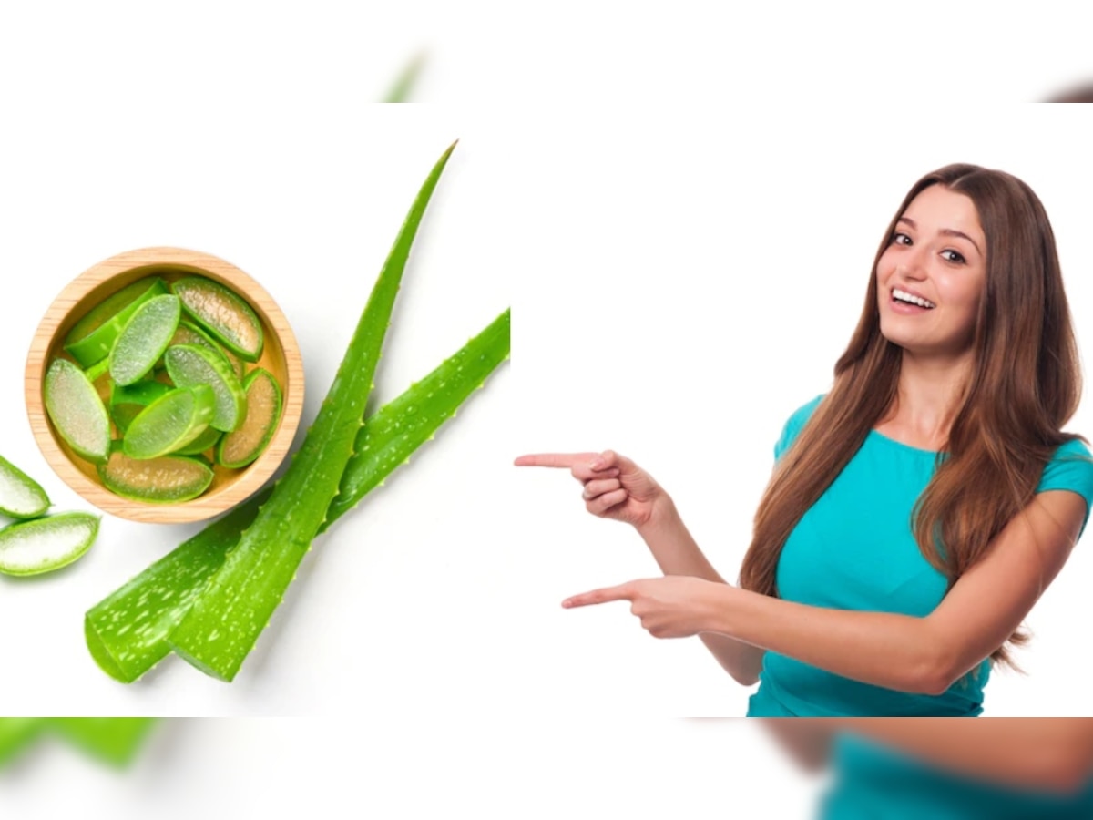 Aloe Vera: बाल और स्किन के लिए वरदान है एलोवेरा, फायदे जानकर रह जाएंगे हैरान