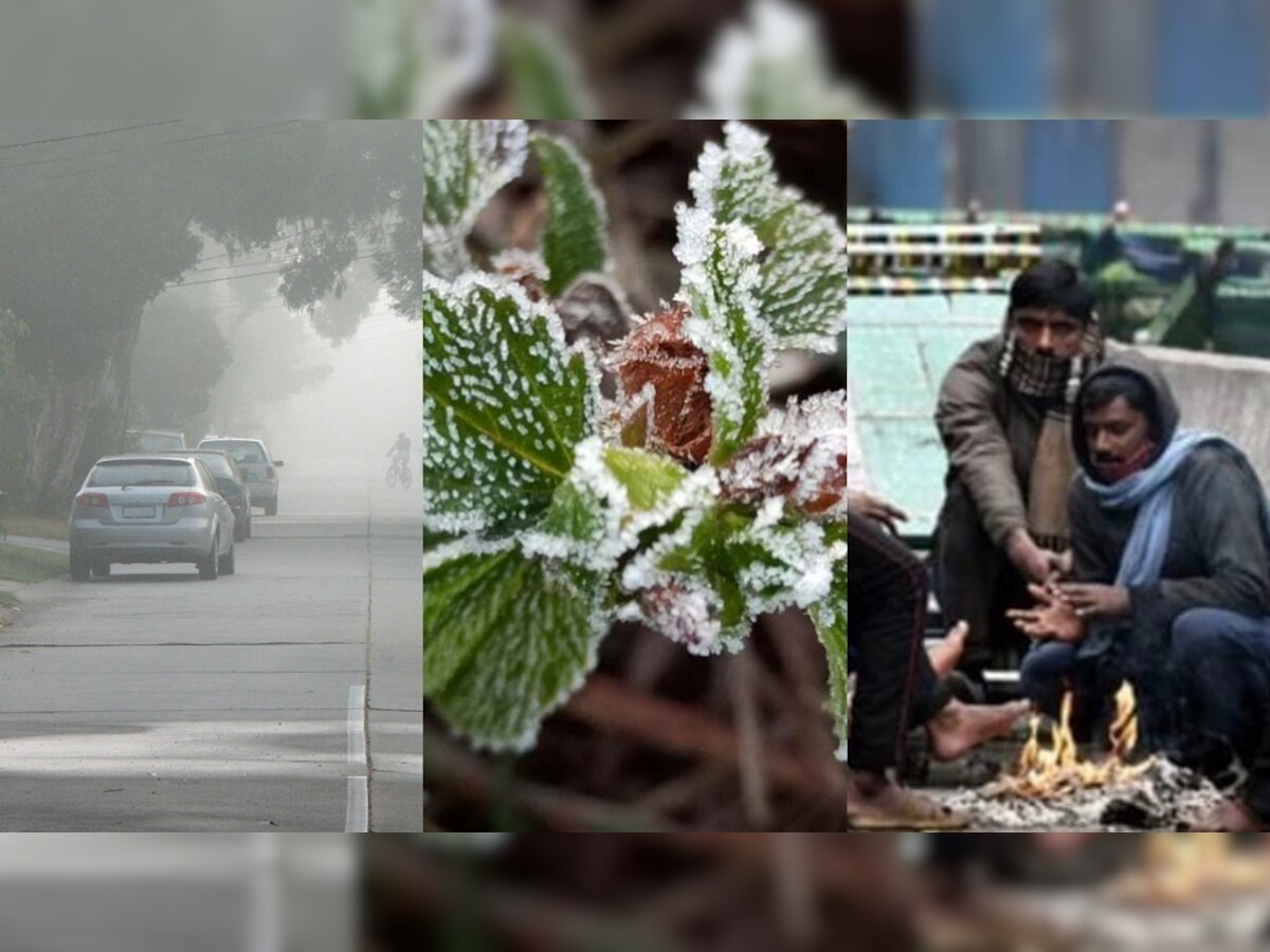MP Weather Triple Alert: लौट आई भीषण ठंड! मध्य प्रदेश में एक साथ तीन अलर्ट, इन जिलों के लोग रहें सतर्क