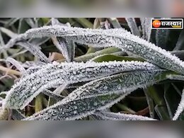 rajasthan weather update: तीसरे दिन भी तापमान माइनस में किया गया दर्ज,खेतों में फसलों पर जमी बर्फ