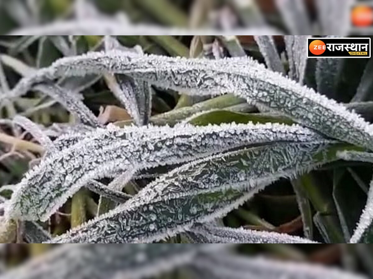 rajasthan weather update: तीसरे दिन भी तापमान माइनस में किया गया दर्ज,खेतों में फसलों पर जमी बर्फ