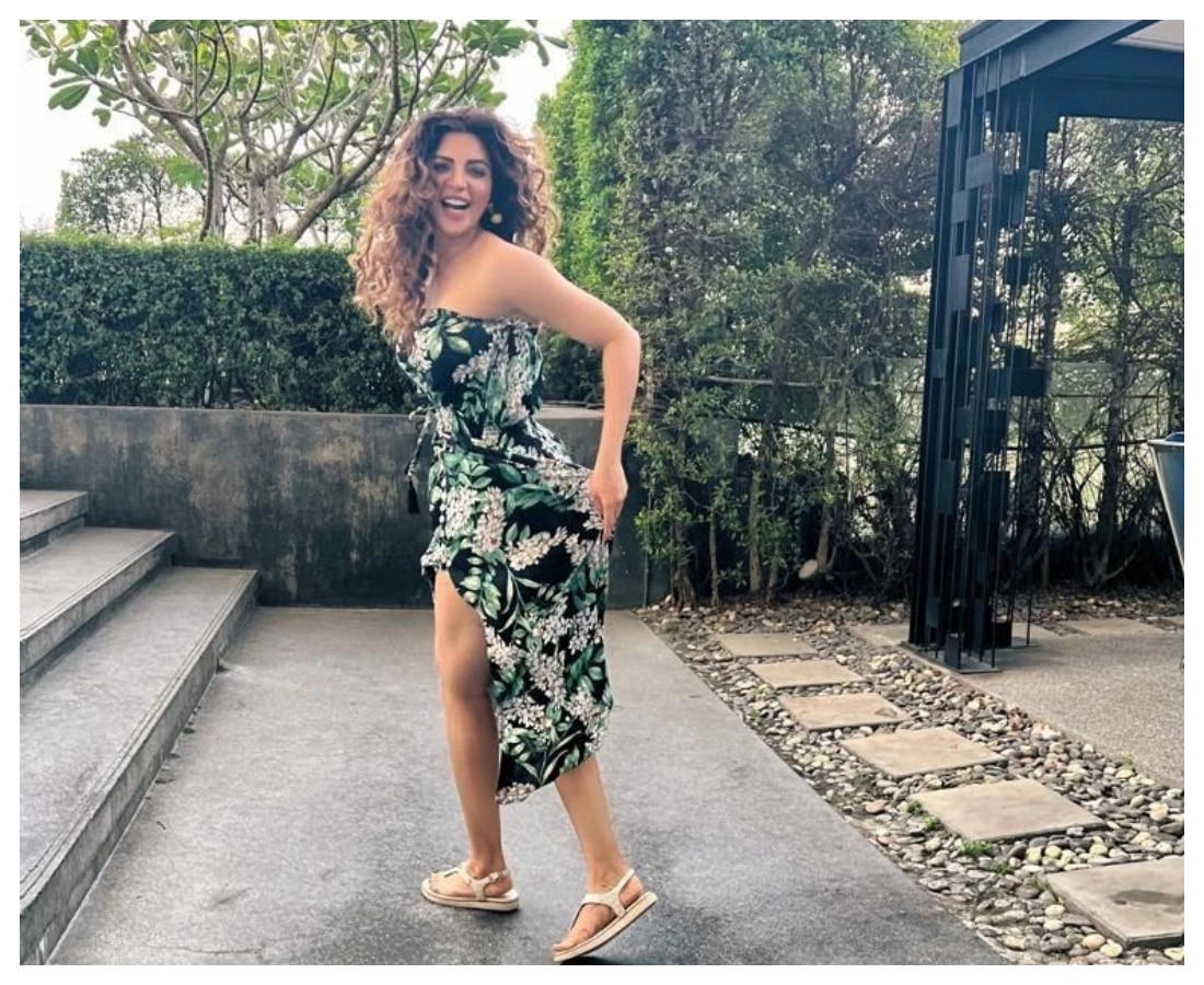 इन शोज और फिल्मों में आईं नजर